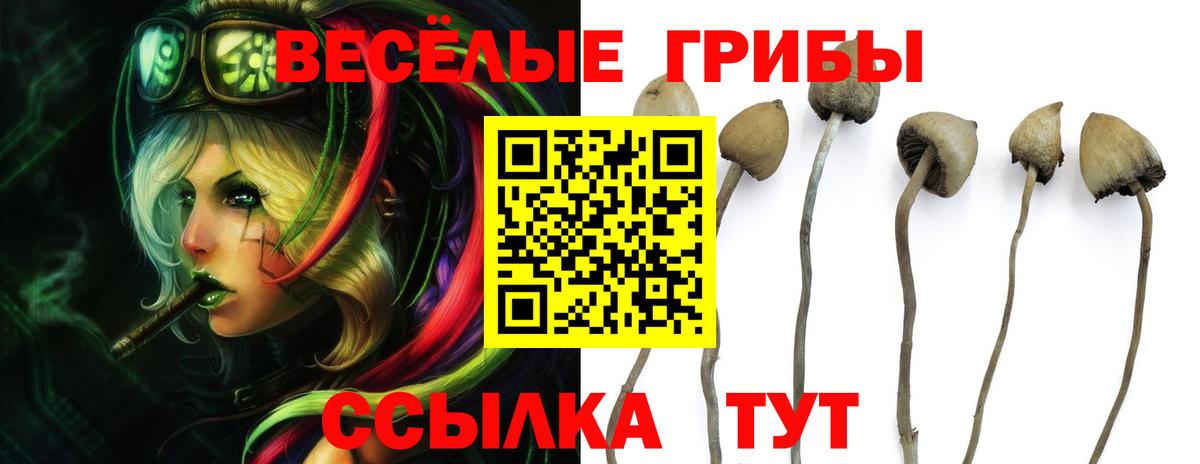 Псилоцибиновые грибы Magic Shrooms Казань