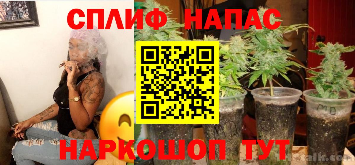 Шишки марихуана марихуана  Бошки марихуана VHQ  Казань  Вход с VPN  Бошки марихуана семена  Каннабис THC 21% 